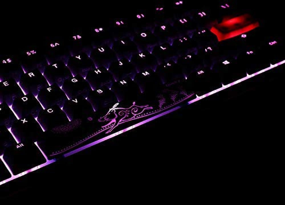 صورة Ducky One 2 Mini Mechanical Keyboard RGB LED 60% TKL Double Shot PBT Gaming Keyboard (Cherry MX Red) رقم 3