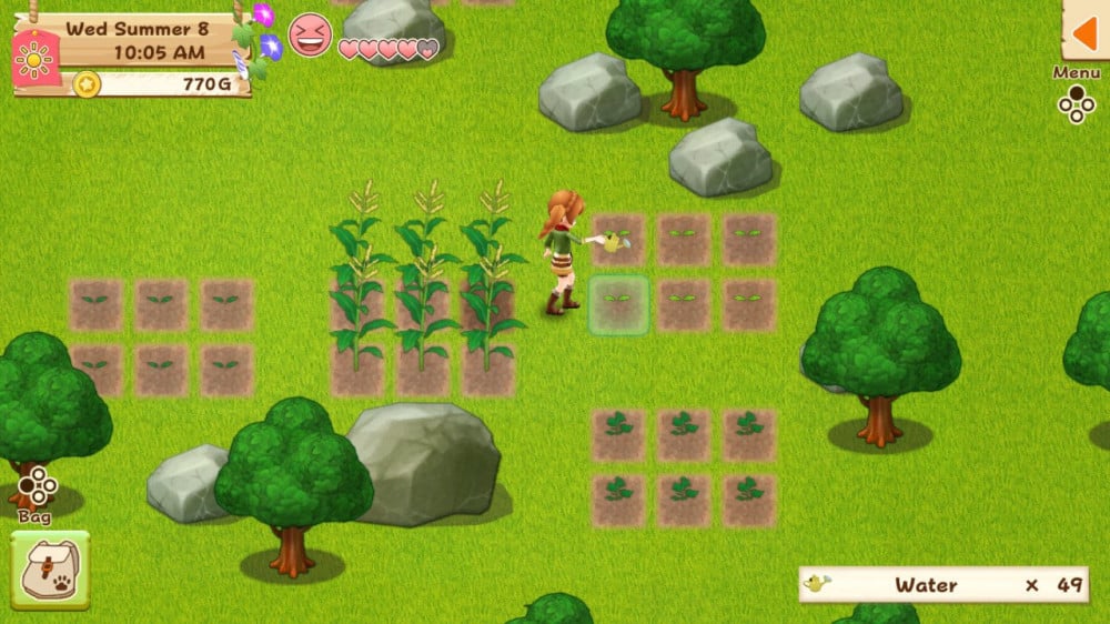 صورة هارفست مون نينتيندو سويتش - Harvest Moon رقم 6