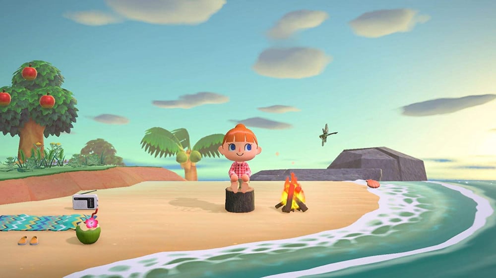 صورة أنيمل كروسينغ نيو هورايزنس نينتيندو سويتش - Animal Crossing New Horizons Switch رقم 6