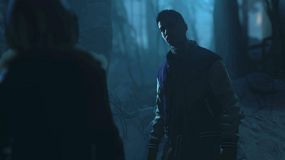 صورة انتل داون - Until Dawn ps4 لعبة مستعملة رقم 5