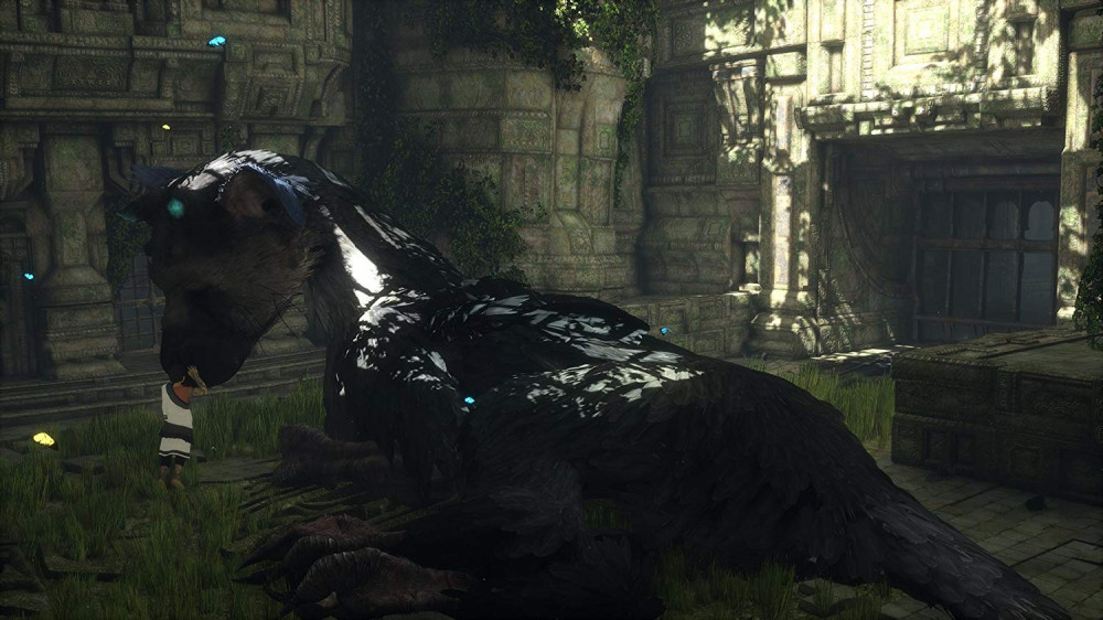 صورة ذا لاست قارديان - The Last Guardian PS4 رقم 5