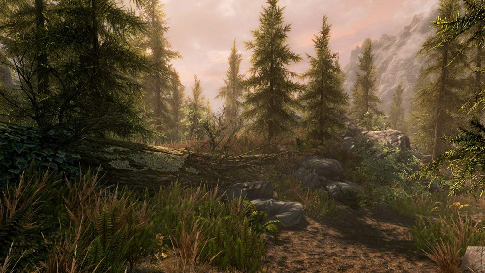 صورة The Elder Scrolls V: Skyrim Special Edition - لعبة تقمص الأدوار لجهاز PS4 لعبة مستعملة رقم 4