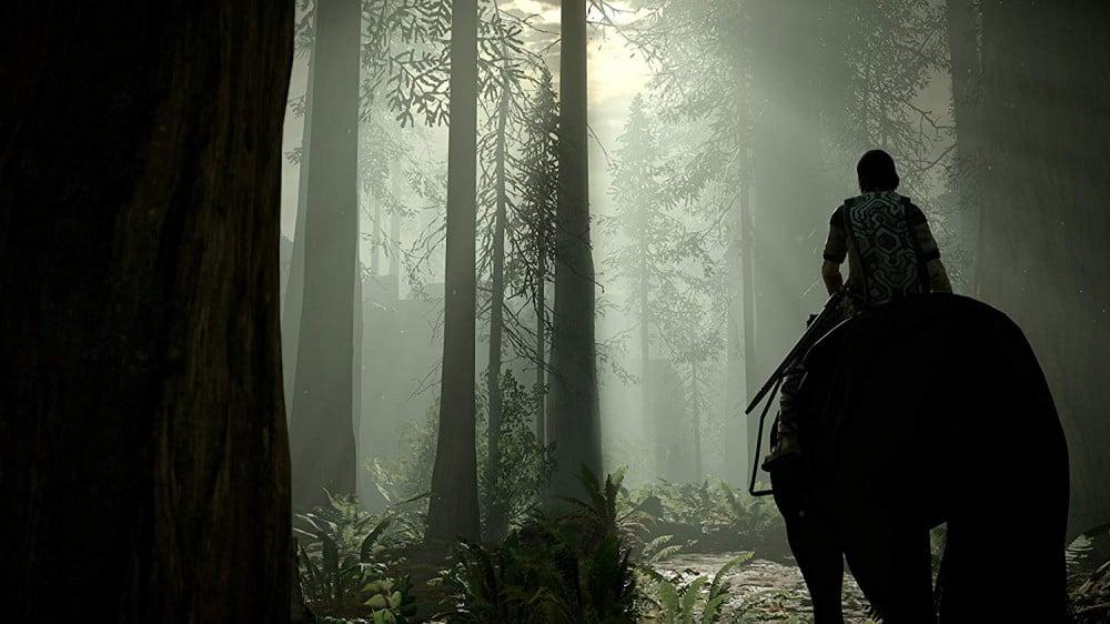 صورة شادو اوف ذا كلوسيز - Shadow of the Colossus PS4 رقم 3